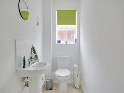 Picture 12